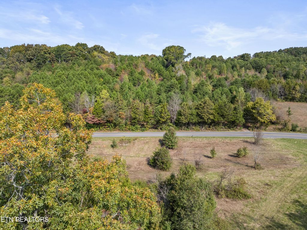Photo of 22 Green Hill Rd, Dandridge, TN 37725 (MLS # 1279668)