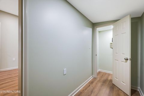 Tiny photo for 427 Oglewood Ave, Knoxville, TN 37917 (MLS # 1346418)