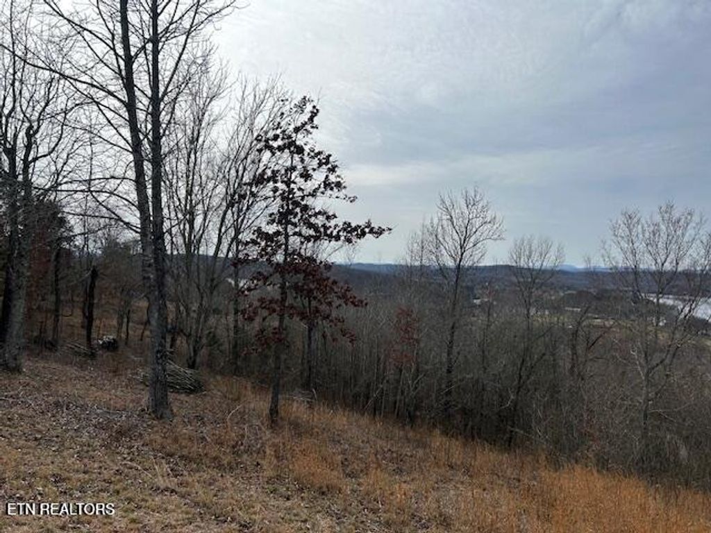Photo of James Ferry Rd, Kingston, TN 37763 (MLS # 1292800)