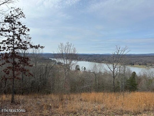 JAMES FERRY RD, KINGSTON, TN 37763 - Image 4b9683b7012809d86a8de43011cd9c8d/3940355972