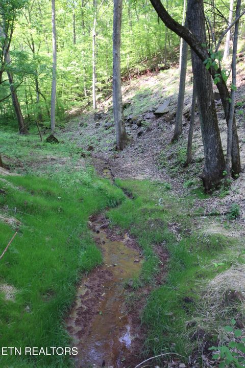 Tiny photo for 526 Anderson Rd, Sweetwater, TN 37874 (MLS # 1338130)