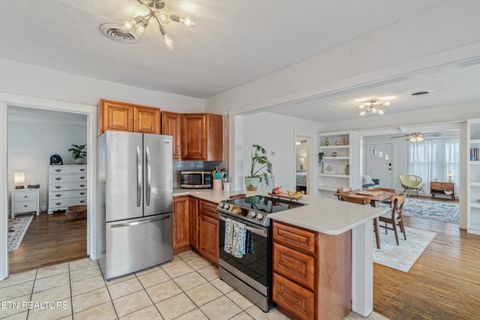 Tiny photo for 3201 Orlando St, Knoxville, TN 37917 (MLS # 1334650)