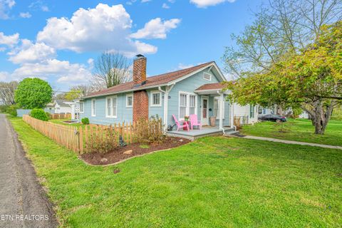 Tiny photo for 3201 Orlando St, Knoxville, TN 37917 (MLS # 1334650)
