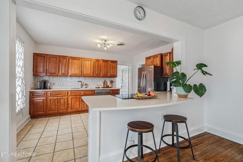 Tiny photo for 3201 Orlando St, Knoxville, TN 37917 (MLS # 1334650)