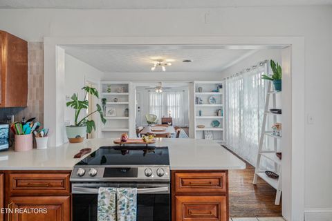 Tiny photo for 3201 Orlando St, Knoxville, TN 37917 (MLS # 1334650)