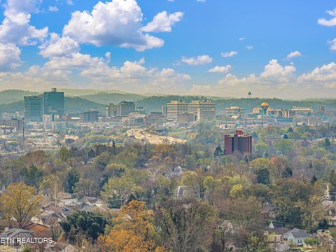 Tiny photo for 3201 Orlando St, Knoxville, TN 37917 (MLS # 1334650)