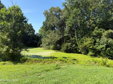 Tiny photo for 326 Tillery Rd, Powell, TN 37849 (MLS # 1350207)