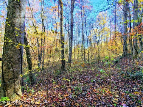 Photo of Vowell Mountain Lane, Rocky Top, TN 37769 (MLS # 1348679)