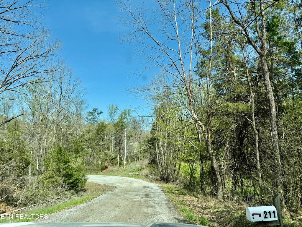 Photo of LAKE LANE Lane, New Tazewell, TN 37825 (MLS # 1295889)