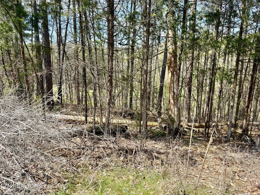 Photo of LAKE LANE Lane, New Tazewell, TN 37825 (MLS # 1295889)