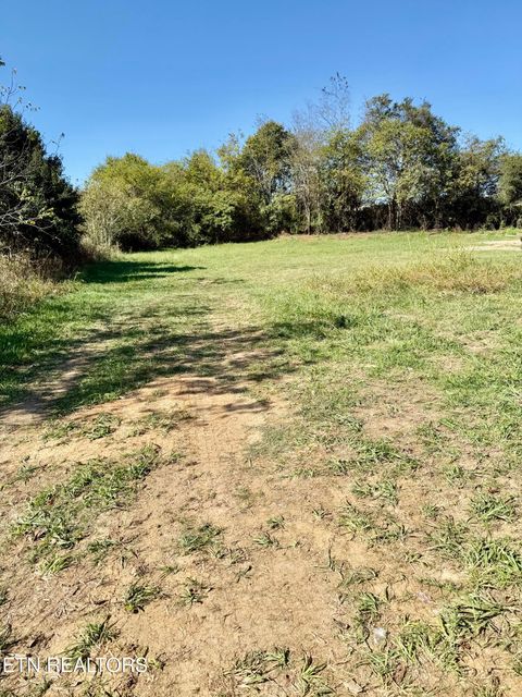 Tiny photo for 2179 Walnut St St, White Pine, TN 37890 (MLS # 1318564)