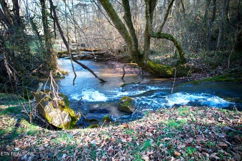 Photo of Rheatown Rd, Chuckey, TN 37641 (MLS # 1329879)