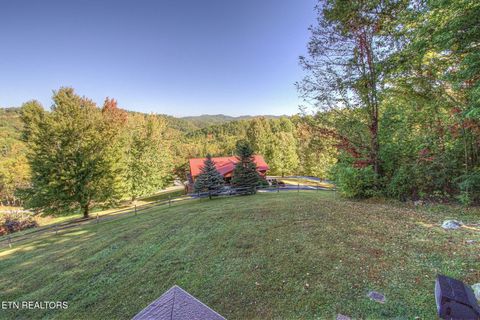 Tiny photo for 1640 Bench Mountain Way, Sevierville, TN 37862 (MLS # 1332398)