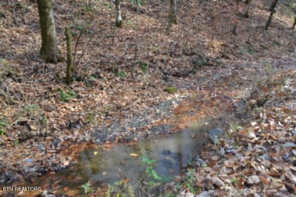 Photo of 670 Wet Mill Creek Rd, Celina, TN 38551 (MLS # 1322821)