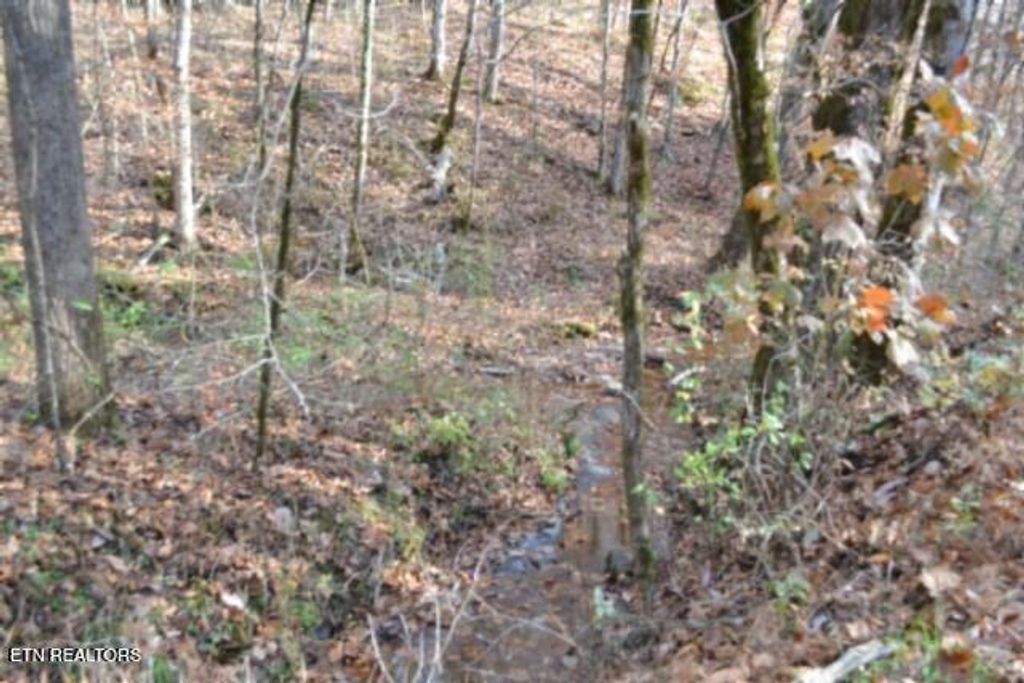 Photo of 670 Wet Mill Creek Rd, Celina, TN 38551 (MLS # 1322821)