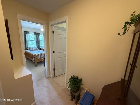Tiny photo for 199 Pear Tree Way, Del Rio, TN 37727 (MLS # 1346745)
