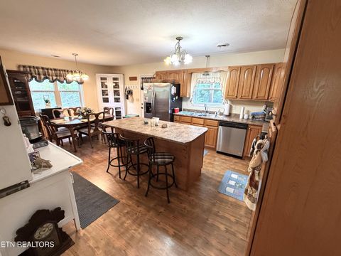 Tiny photo for 199 Pear Tree Way, Del Rio, TN 37727 (MLS # 1346745)