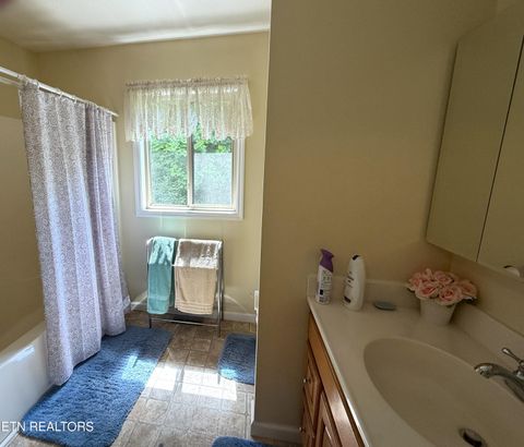 Tiny photo for 199 Pear Tree Way, Del Rio, TN 37727 (MLS # 1346745)