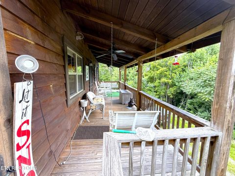 Tiny photo for 199 Pear Tree Way, Del Rio, TN 37727 (MLS # 1346745)