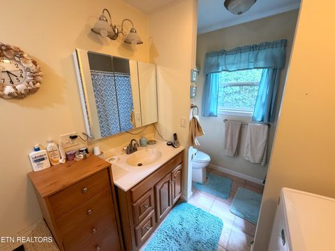 Tiny photo for 199 Pear Tree Way, Del Rio, TN 37727 (MLS # 1346745)