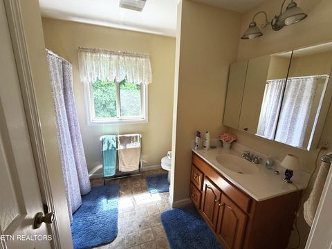 Tiny photo for 199 Pear Tree Way, Del Rio, TN 37727 (MLS # 1346745)