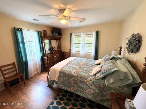 Tiny photo for 199 Pear Tree Way, Del Rio, TN 37727 (MLS # 1346745)