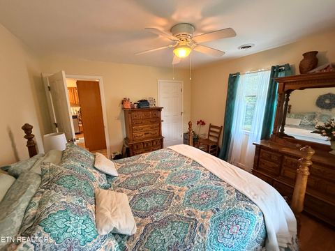 Tiny photo for 199 Pear Tree Way, Del Rio, TN 37727 (MLS # 1346745)