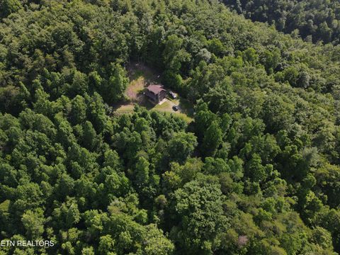 Tiny photo for 199 Pear Tree Way, Del Rio, TN 37727 (MLS # 1346745)