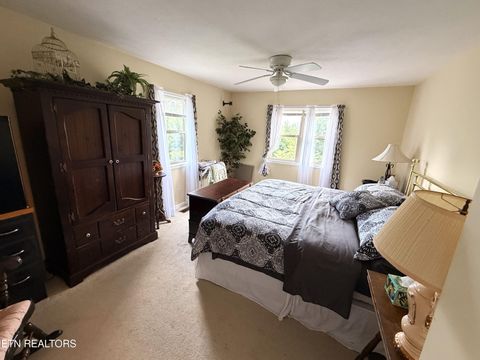 Tiny photo for 199 Pear Tree Way, Del Rio, TN 37727 (MLS # 1346745)