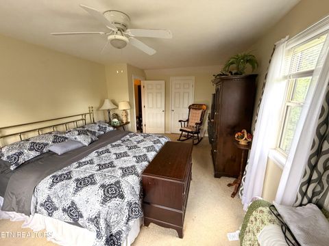Tiny photo for 199 Pear Tree Way, Del Rio, TN 37727 (MLS # 1346745)