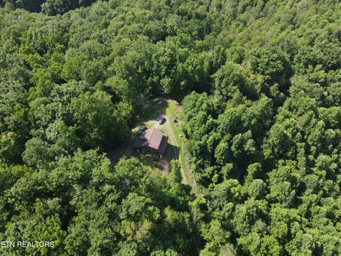 Tiny photo for 199 Pear Tree Way, Del Rio, TN 37727 (MLS # 1346745)