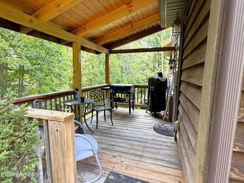 Tiny photo for 199 Pear Tree Way, Del Rio, TN 37727 (MLS # 1346745)