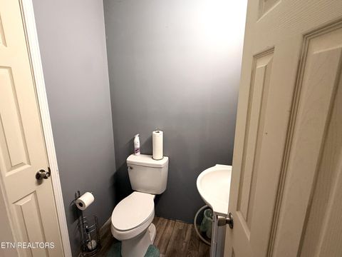 Tiny photo for 199 Pear Tree Way, Del Rio, TN 37727 (MLS # 1346745)