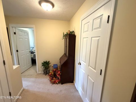 Tiny photo for 199 Pear Tree Way, Del Rio, TN 37727 (MLS # 1346745)