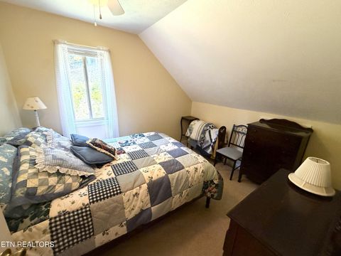 Tiny photo for 199 Pear Tree Way, Del Rio, TN 37727 (MLS # 1346745)