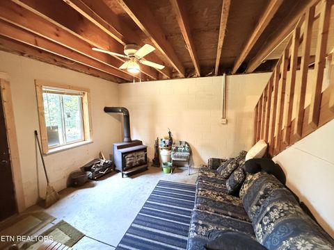 Tiny photo for 199 Pear Tree Way, Del Rio, TN 37727 (MLS # 1346745)