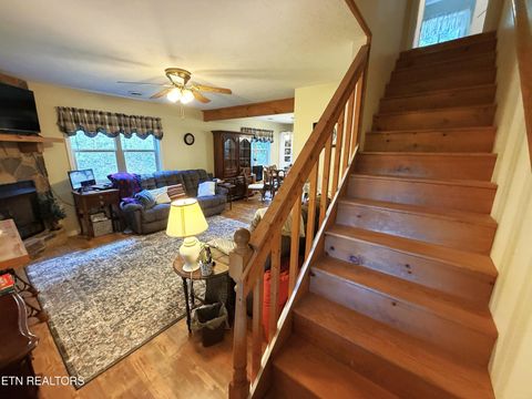 Tiny photo for 199 Pear Tree Way, Del Rio, TN 37727 (MLS # 1346745)