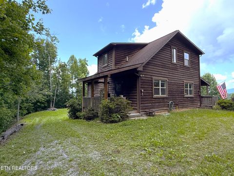 Tiny photo for 199 Pear Tree Way, Del Rio, TN 37727 (MLS # 1346745)
