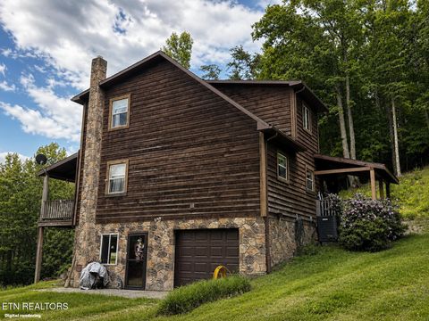 Tiny photo for 199 Pear Tree Way, Del Rio, TN 37727 (MLS # 1346745)