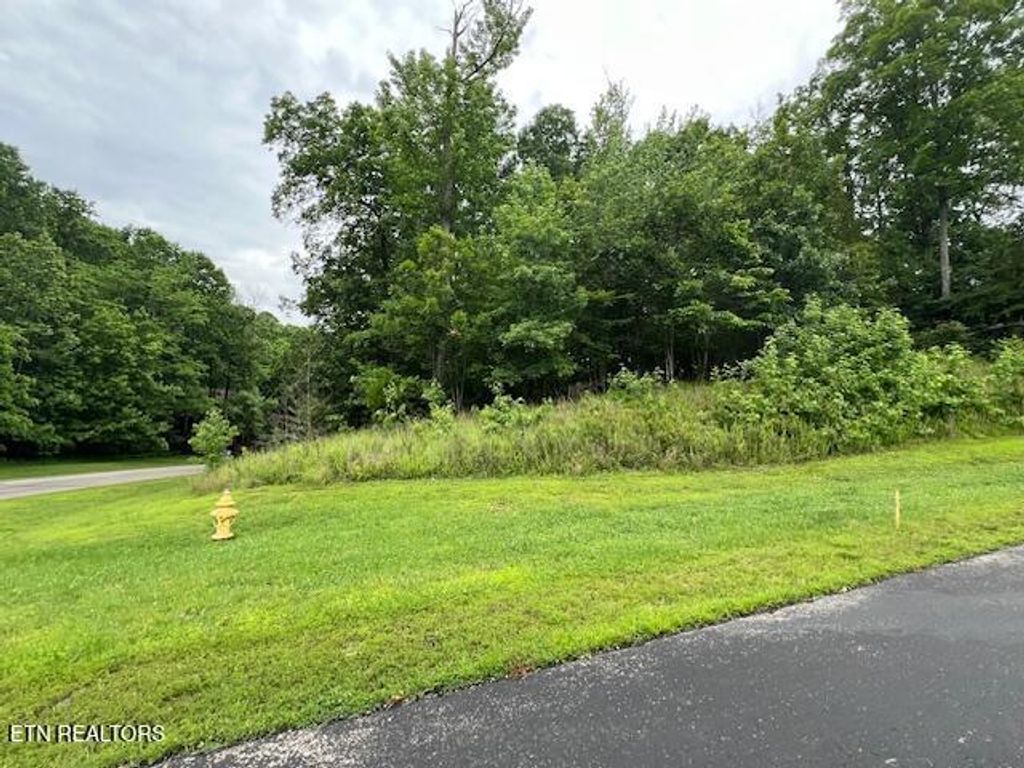 Photo of 600 Lake Ridge Drive, Rockwood, TN 37854 (MLS # 1303243)