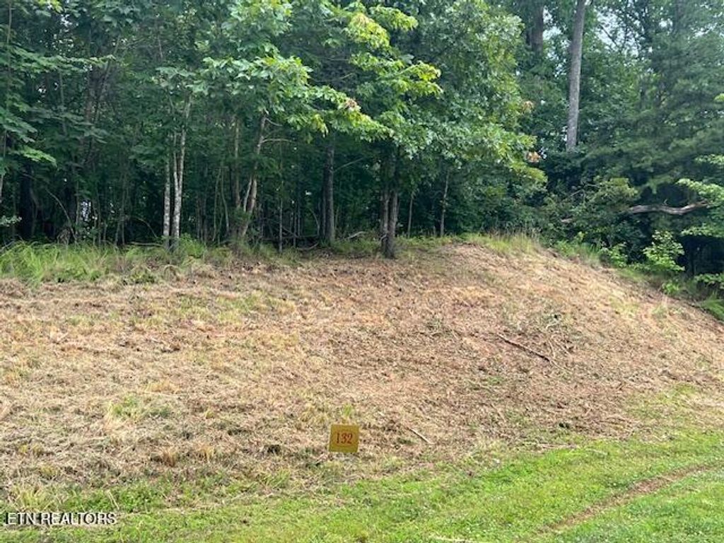 Photo of 600 Lake Ridge Drive, Rockwood, TN 37854 (MLS # 1303243)