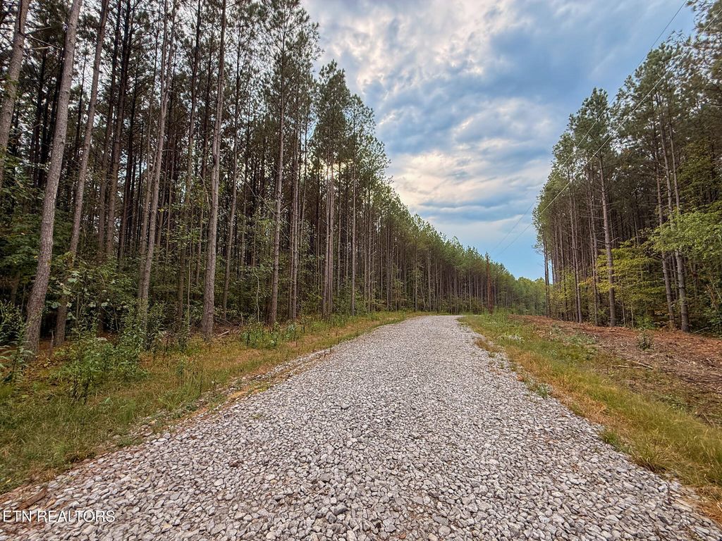 Photo of Lot 11 Airport Rd, Rockwood, TN 37854 (MLS # 1310474)