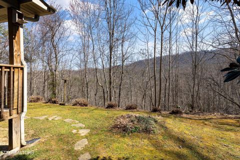Tiny photo for 4442 Grindstone Ridge Rd, Pigeon Forge, TN 37863 (MLS # 1333684)