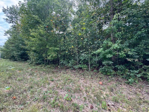 Tiny photo for Wildcat Rd, Jamestown, TN 38556 (MLS # 1356125)
