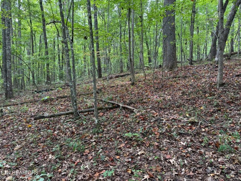 Tiny photo for Wildcat Rd, Jamestown, TN 38556 (MLS # 1356125)