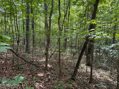 Tiny photo for Wildcat Rd, Jamestown, TN 38556 (MLS # 1356125)