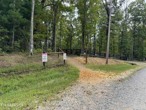 Tiny photo for Wildcat Rd, Jamestown, TN 38556 (MLS # 1356125)