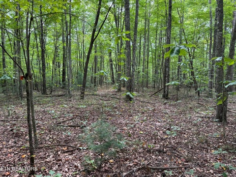Tiny photo for Wildcat Rd, Jamestown, TN 38556 (MLS # 1356125)