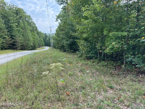 Tiny photo for Wildcat Rd, Jamestown, TN 38556 (MLS # 1356125)