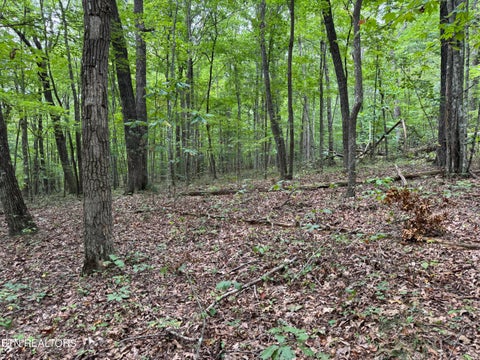 Tiny photo for Wildcat Rd, Jamestown, TN 38556 (MLS # 1356125)